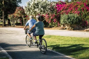 rv-bicycles-3