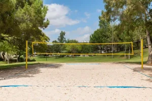 rv-volleyball-3